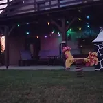 度假居 Dom Letniskowy